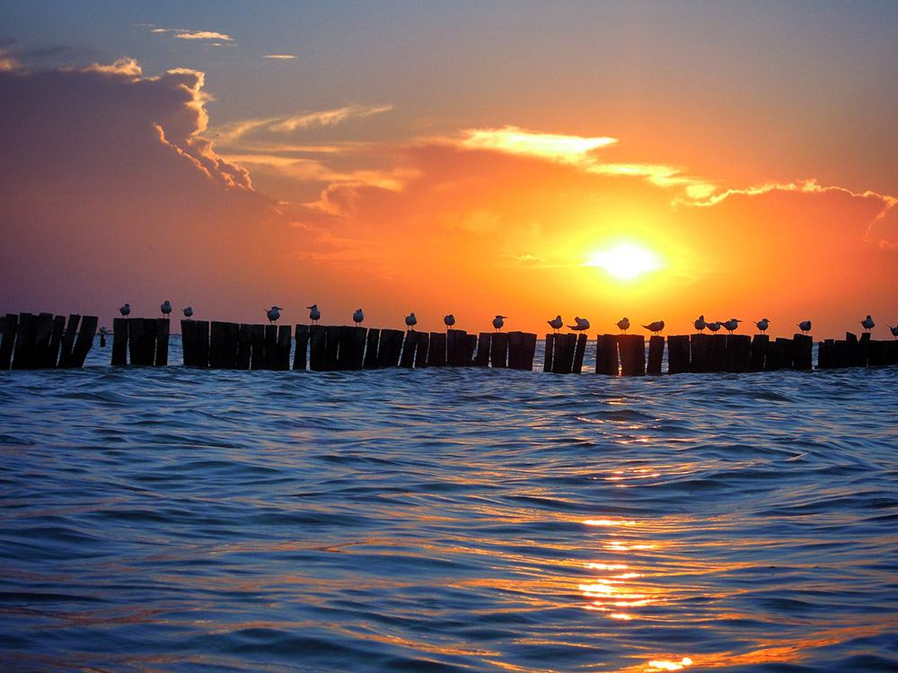 Holbox Hero Image 1