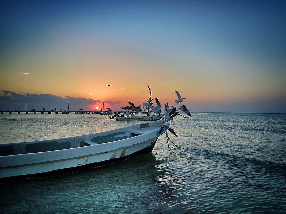 Holbox Hero Image 2